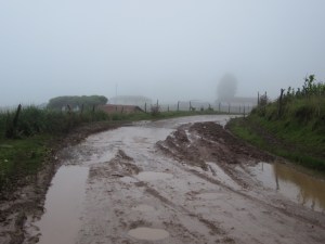 water-or-mud-which-is-best