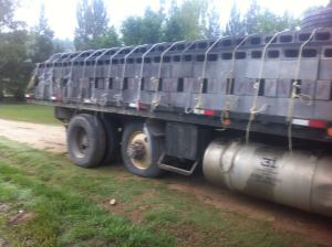 10612877_689563151136166_4532602330191143508_n