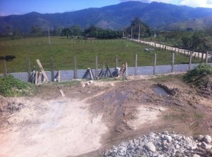 1913238_726231584135989_4573337769141074308_o